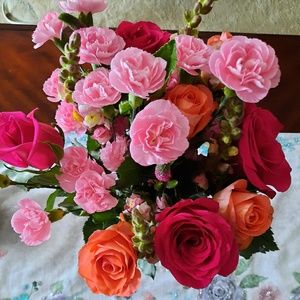 Meet your Posher, Natalia